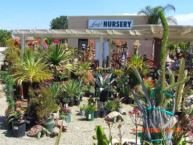 Louies Nursery | 16310 Porter Ave, Riverside, CA 92504, USA | Phone: (951) 780-7841