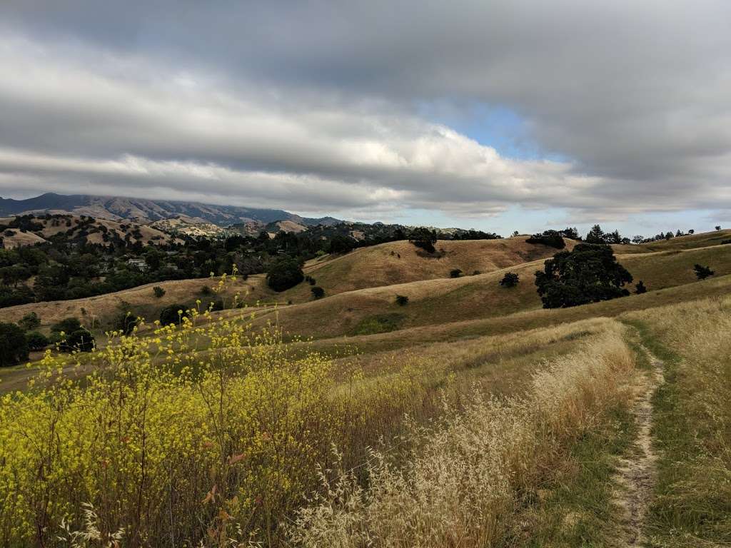 Sugarloaf Open Space | 2161 Youngs Valley Rd, Walnut Creek, CA 94596, USA | Phone: (925) 943-5800