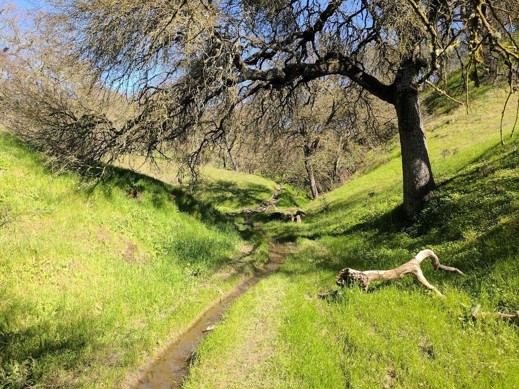 Shell Ridge Open Space | 1035 Castle Rock Rd, Walnut Creek, CA 94598, USA | Phone: (925) 943-5800