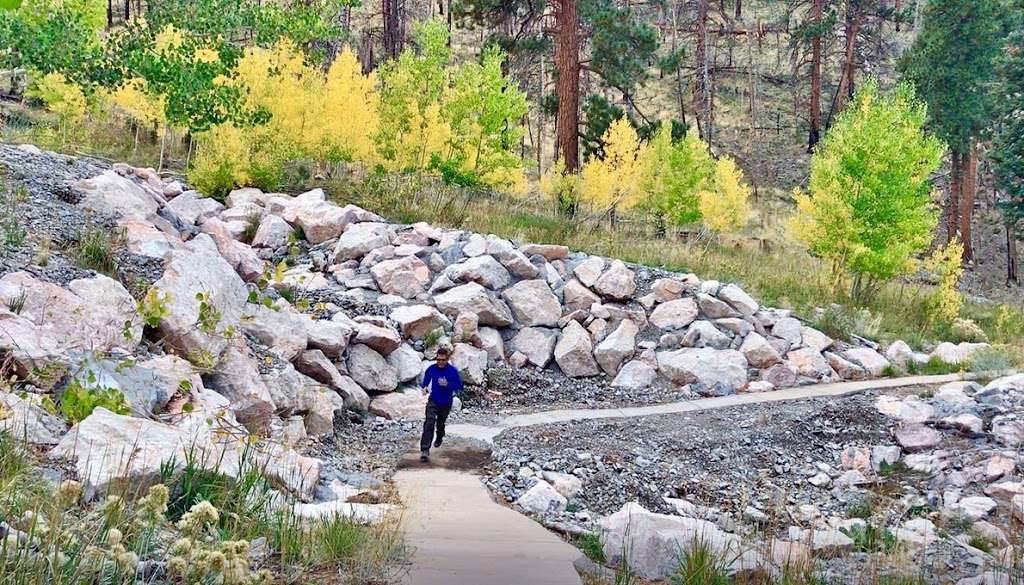 Cathedral Rock Group Picnic area | Mt Charleston, NV 89124, USA | Phone: (702) 872-5486