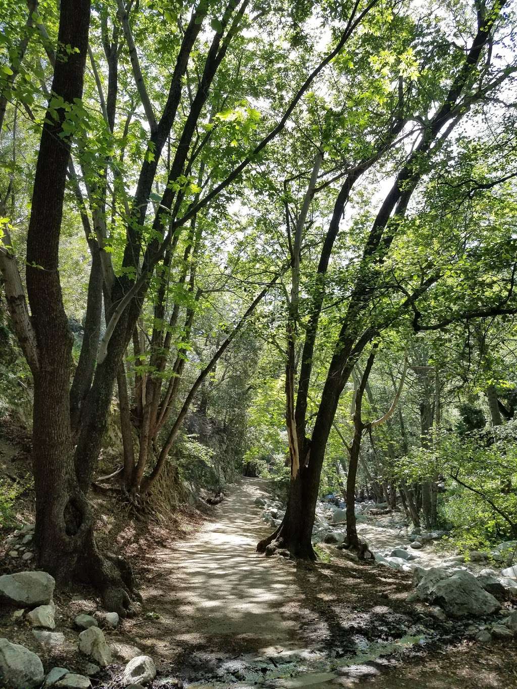 Switzer Picnic Area | Switzer Truck Trail, Altadena, CA 91001, USA