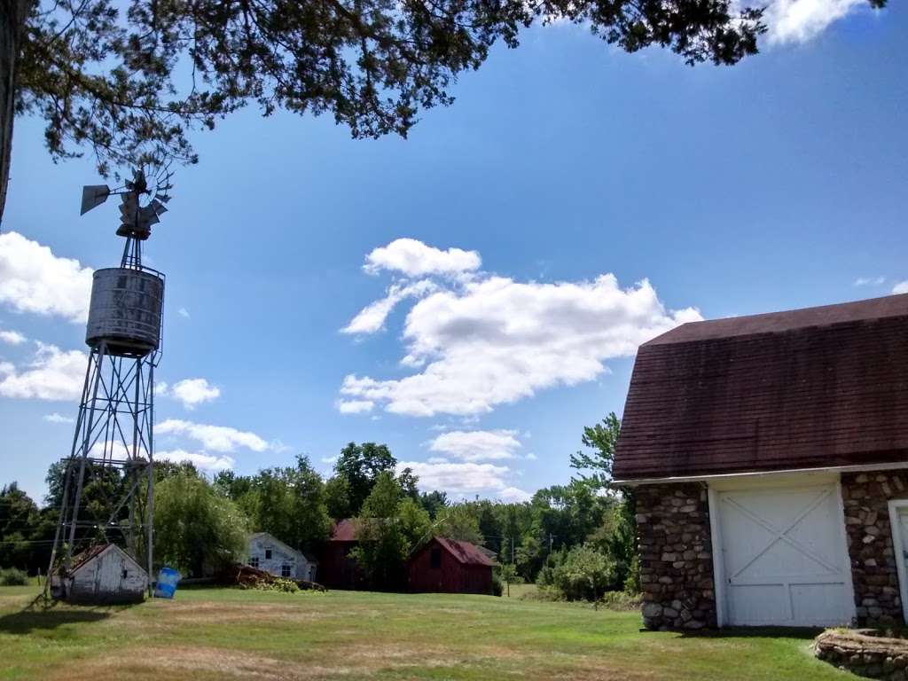 Morsetown Brook Wetland Preserve | 8 Rutgers Ave, West Milford, NJ 07480 | Phone: (973) 532-9830