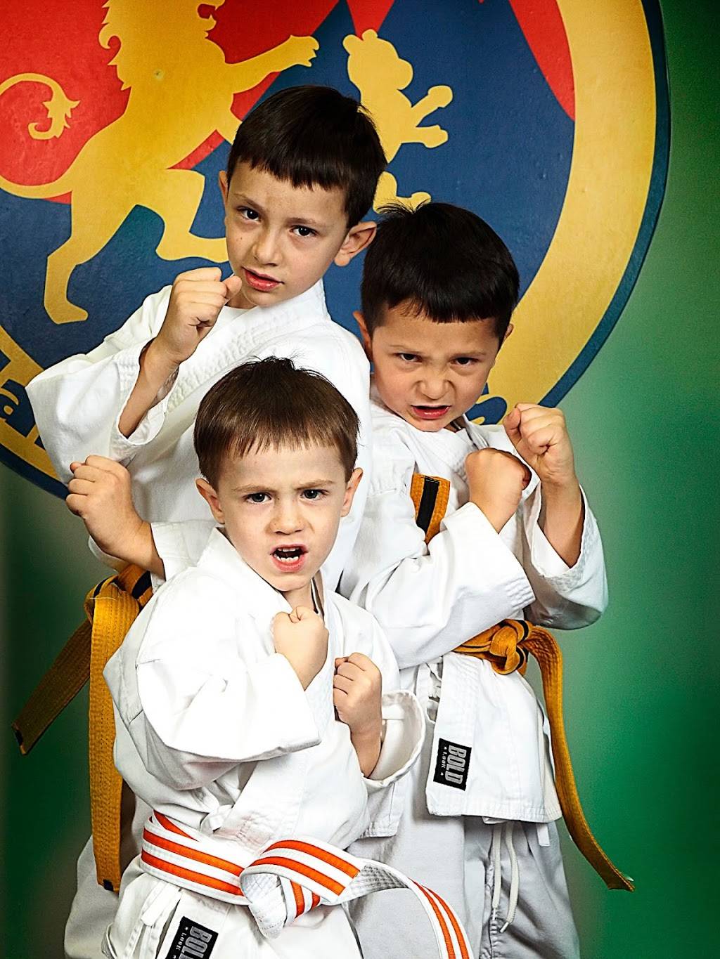 Lions Pride Martial Arts | 800 S Main St Suite F, Nicholasville, KY 40356, USA | Phone: (859) 472-4066