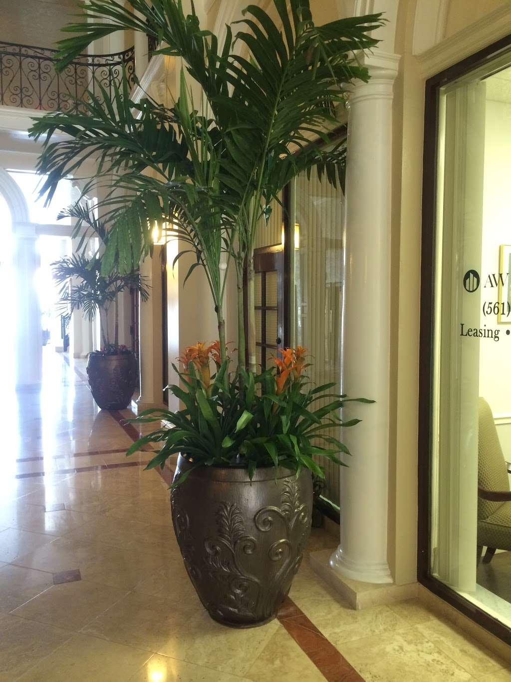 Palm Beach Orchids | 7401 Tropical World Way, Boynton Beach, FL 33437 | Phone: (561) 472-4197