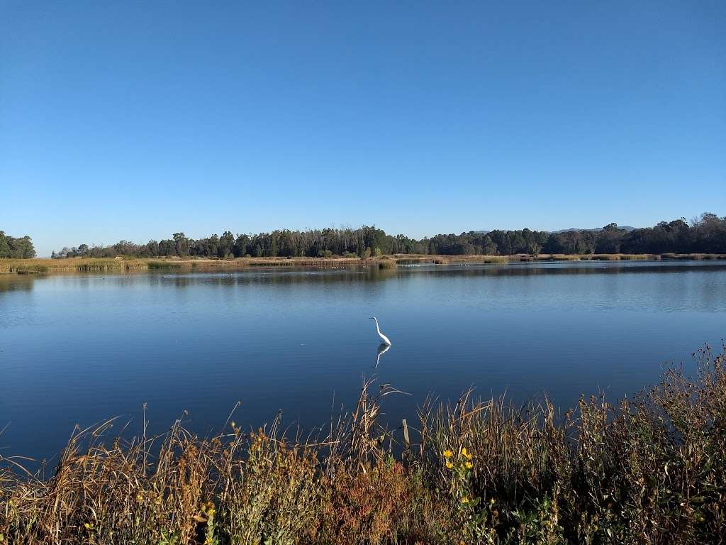 Wetlands Edge Park | 2 Eucalyptus Dr, American Canyon, CA 94503, USA