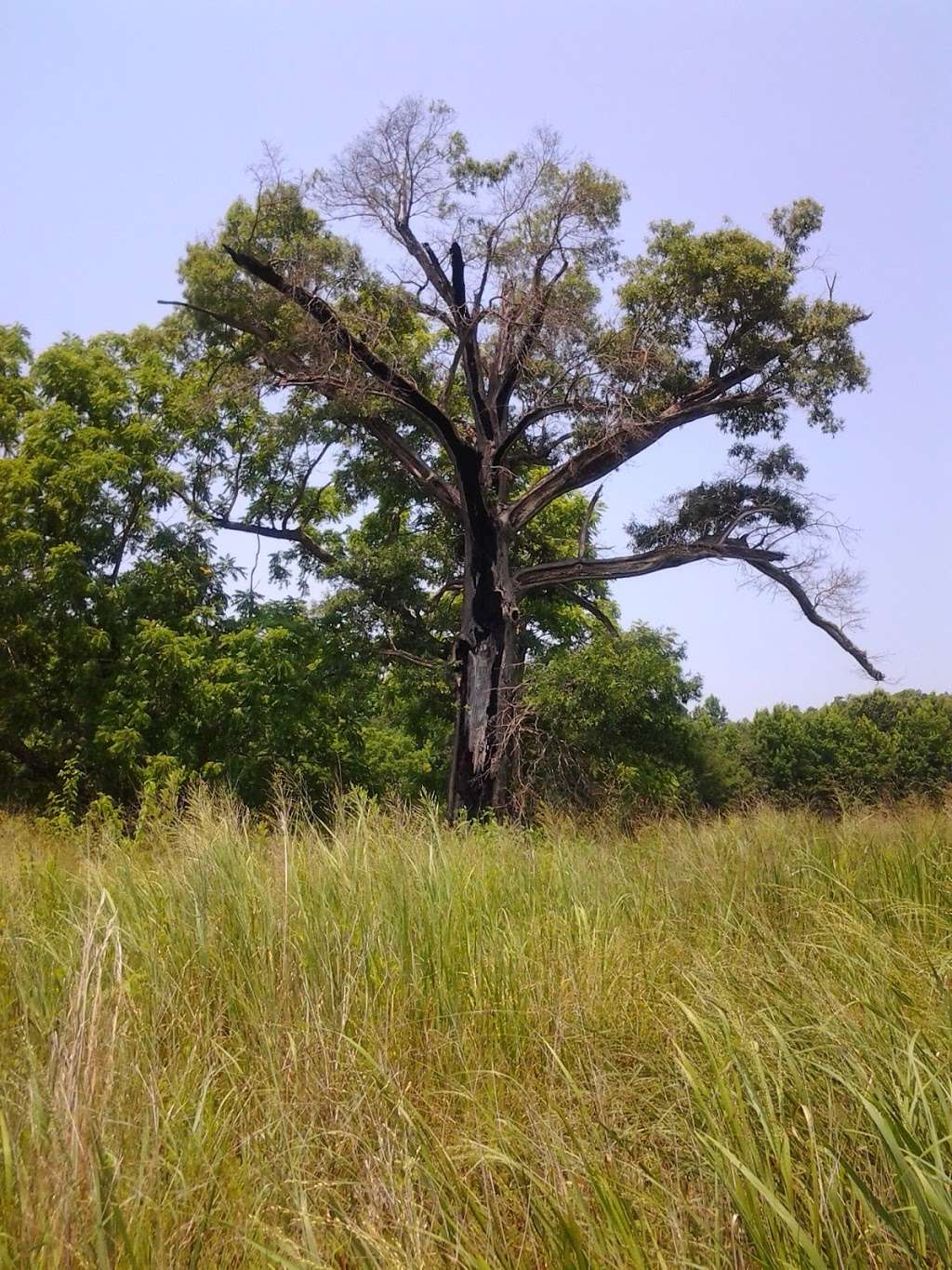 Cowans Ford Wildlife Refuge | Neck Rd, Huntersville, NC 28078, USA | Phone: (704) 504-9346