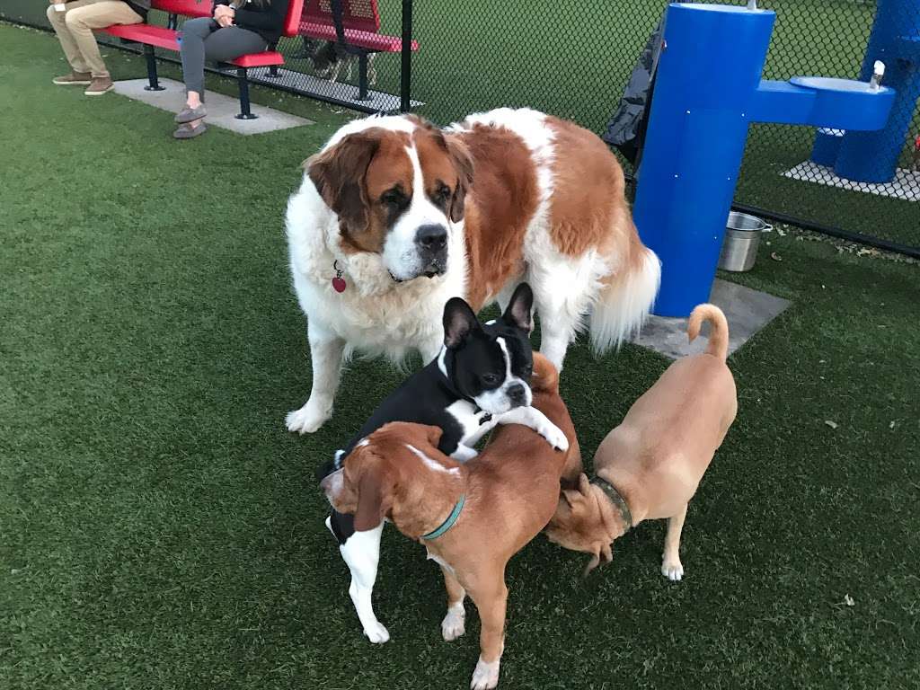 Long Beach Dog Run | W Pine St, Long Beach, NY 11561