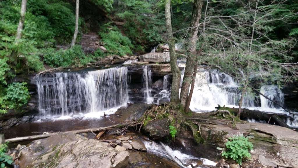 Ricketts Glen Visitors Center | PA-487, Lopez, PA 18628, USA | Phone: (570) 477-5675