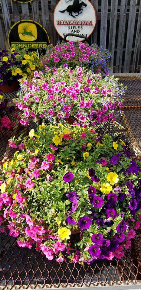 Bennett Farms Garden Center | 27720 Ocean Gateway, Hebron, MD 21830 | Phone: (410) 546-5232