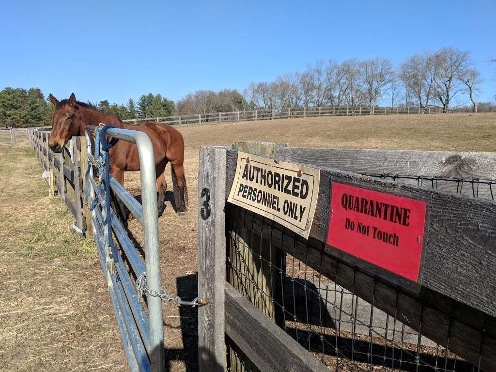 Maryland Therapeutic Riding | 1141 Sunrise Beach Rd, Crownsville, MD 21032 | Phone: (410) 923-6800