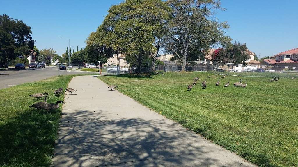 Northgate Community Park | Fremont, CA 94555, USA