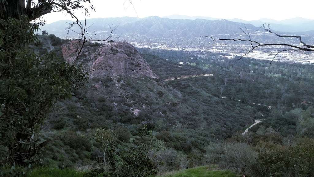 Fern Canyon Trail | Mineral Wells Trail, Los Angeles, CA 90027, USA