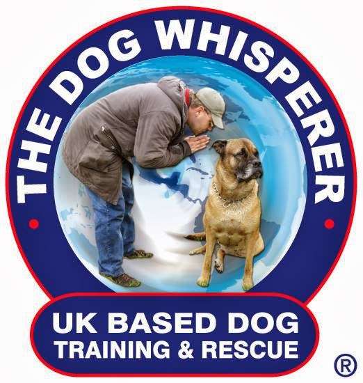The Dog Whisperer U.K. | 100, Sutton SM2 6HW, UK | Phone: 07947 879650