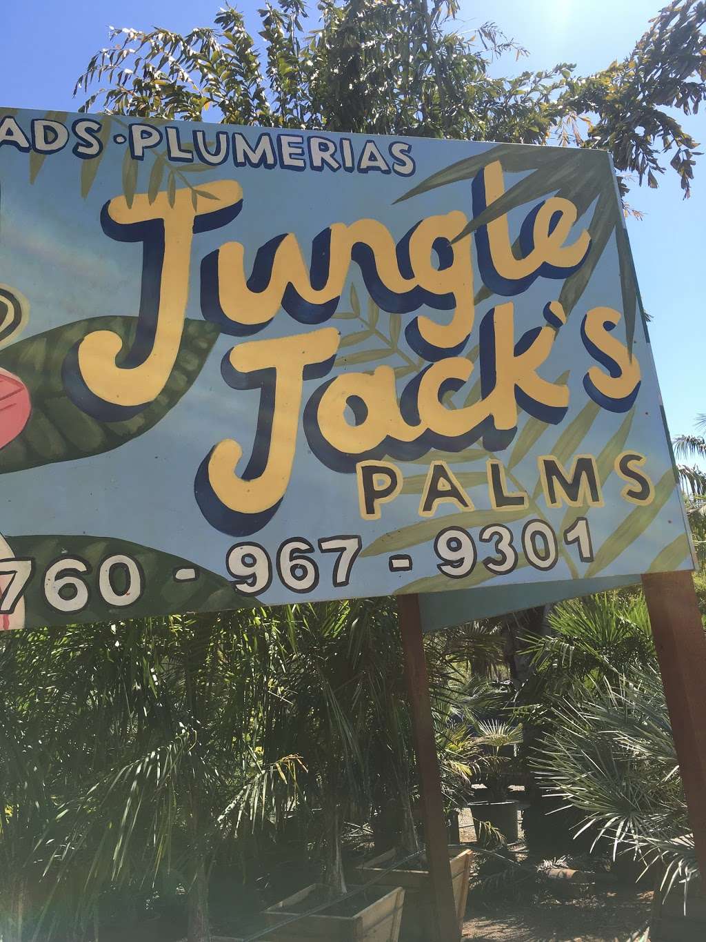 Jungle Jacks | 1145 Gopher Canyon Rd, Vista, CA 92084, USA | Phone: (760) 533-4663