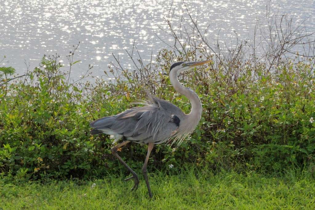 Polks Nature Discovery Center | 4399 Winter Lake Rd, Lakeland, FL 33803, USA | Phone: (863) 668-4673