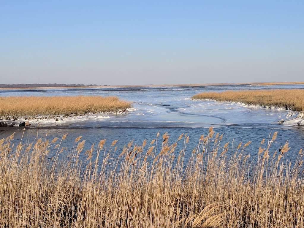 Bombay Hook National Wildlife Refuge Visitor Center | 2501-2599 Refuge Entrance Rd, Smyrna, DE 19977, USA | Phone: (302) 653-9345