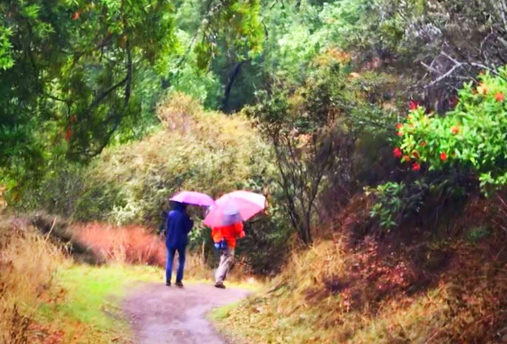 Best Self Walking Therapy | 22500 Cristo Rey Dr, Los Altos, CA 94024, USA | Phone: (408) 813-5324