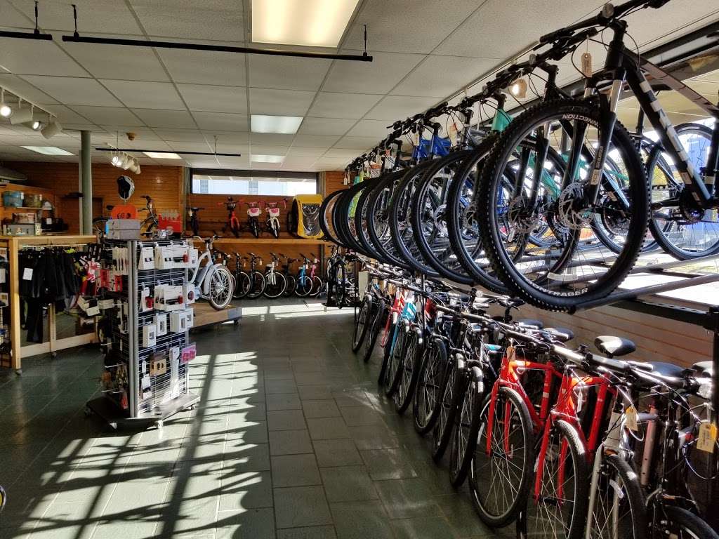 Easton Cycle and Sport | 723 Goldsborough St, Easton, MD 21601, USA | Phone: (410) 822-7433