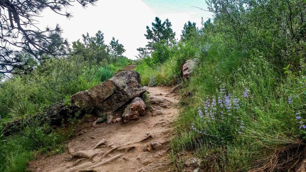 Horsetooth Falls Trail | 6550 W County Rd 38 E, Fort Collins, CO 80526, USA | Phone: (970) 619-4570