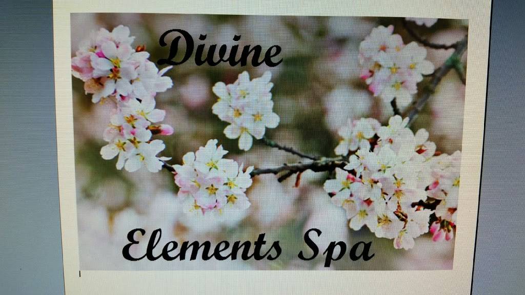 Divine Elements Spa | 21724 Lorain Rd #4, Fairview Park, OH 44126, USA | Phone: (216) 496-3579