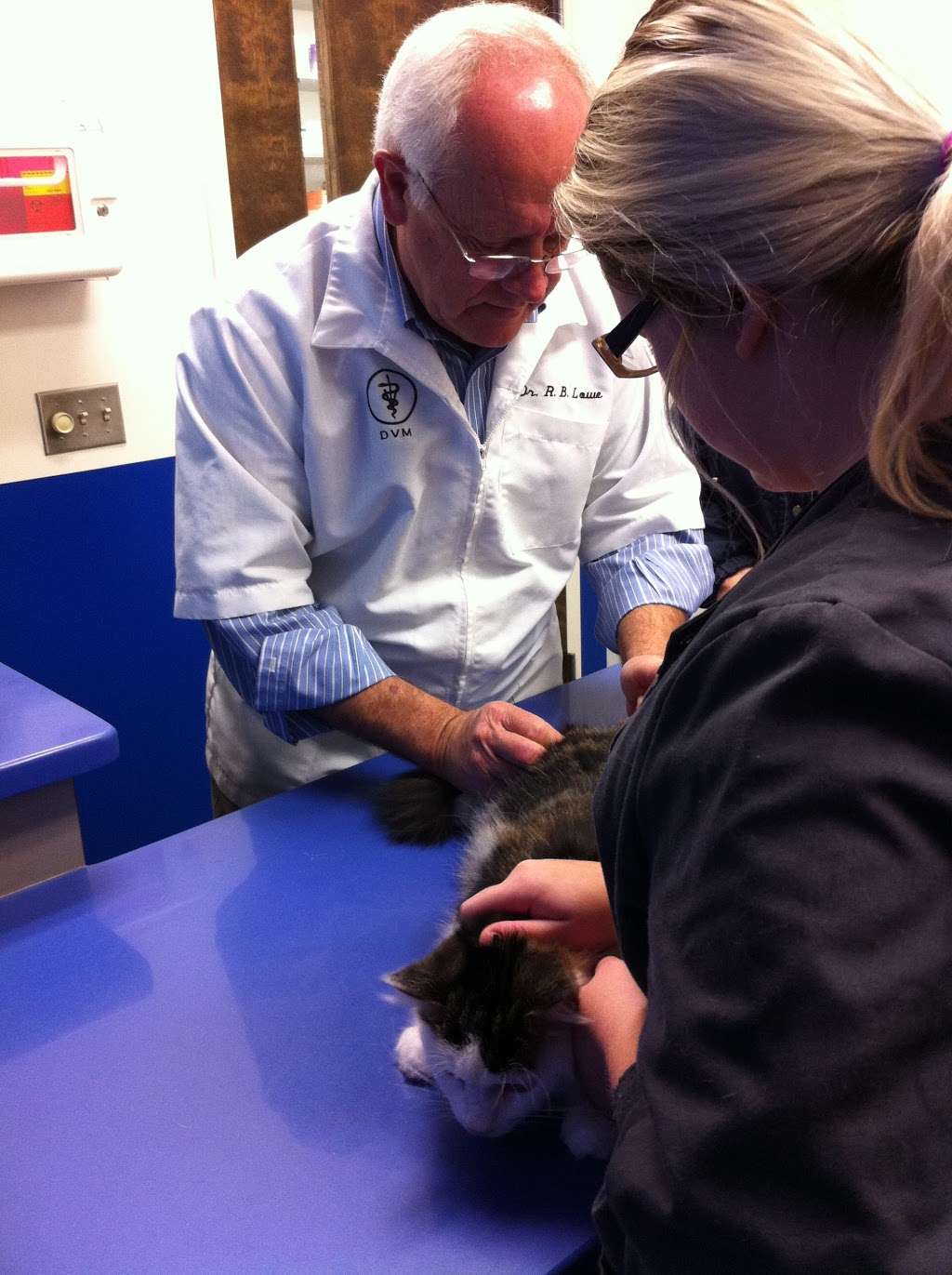 Rowan Animal Clinic, pllc. | 4155 Statesville Blvd, Salisbury, NC 28147, USA | Phone: (704) 636-3408