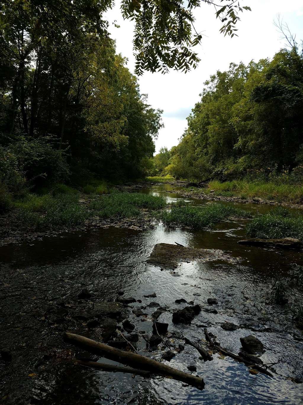 Grant Creek Prairie Nature Preserve | Wilmington, IL 60481, USA