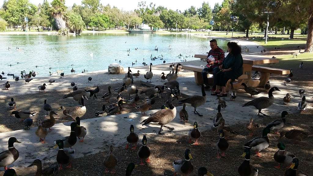 El Dorado Park East Duck Pond | 2560, 2400 N Studebaker Rd, Long Beach, CA 90815