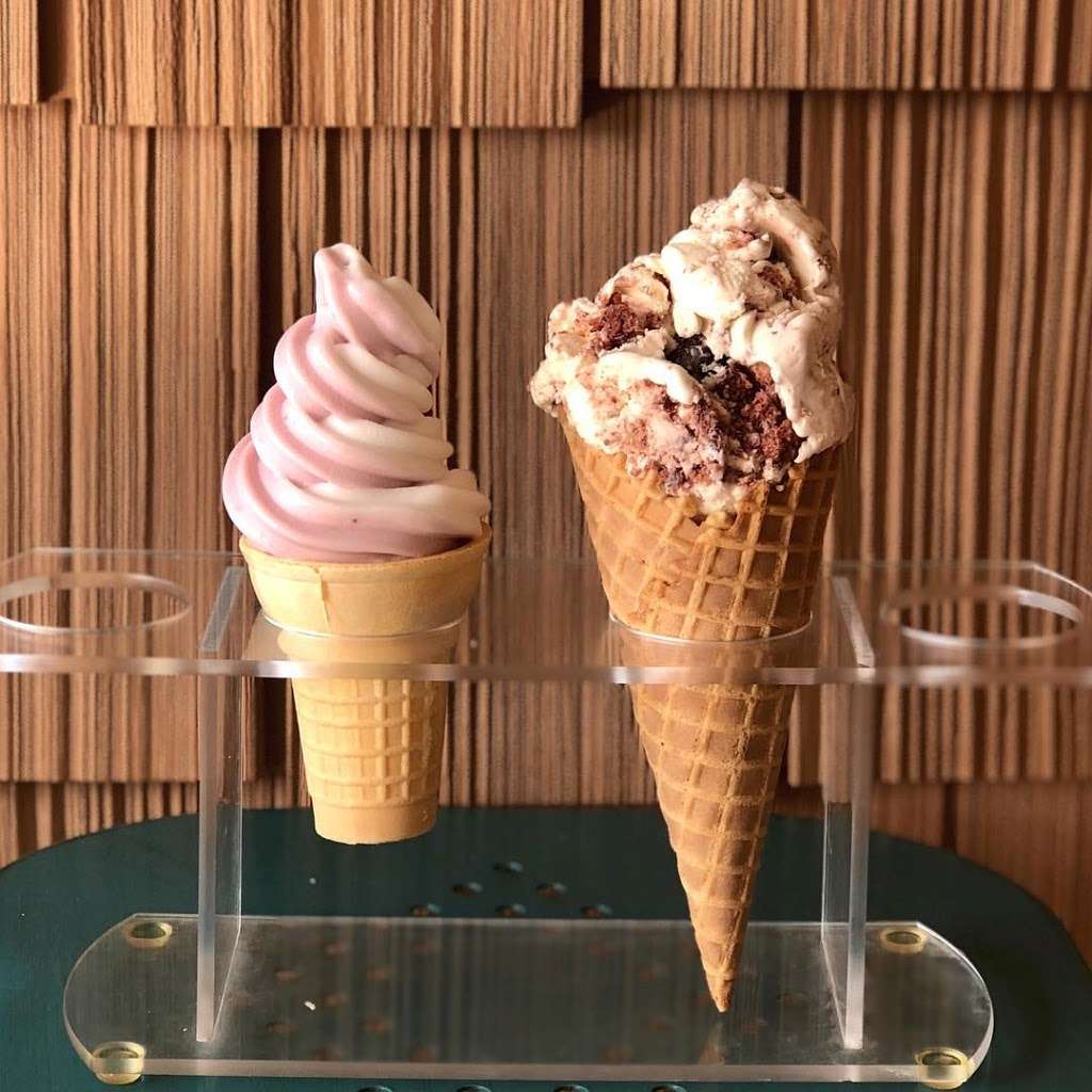 The WooHoo | 211 S Bay Ave, Beach Haven, NJ 08008, USA | Phone: (609) 492-5433