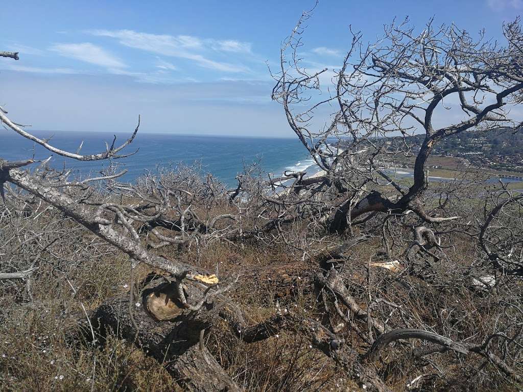 Torrey Pines Reserve Lodge and Visitor Center | N Torrey Pines Rd, La Jolla, CA 92037, USA | Phone: (858) 755-2063