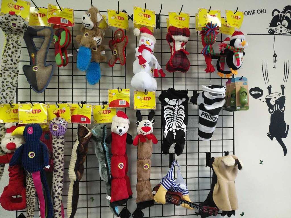 L Pet Store | 659 E 15th St, Upland, CA 91786, USA | Phone: (626) 715-0165