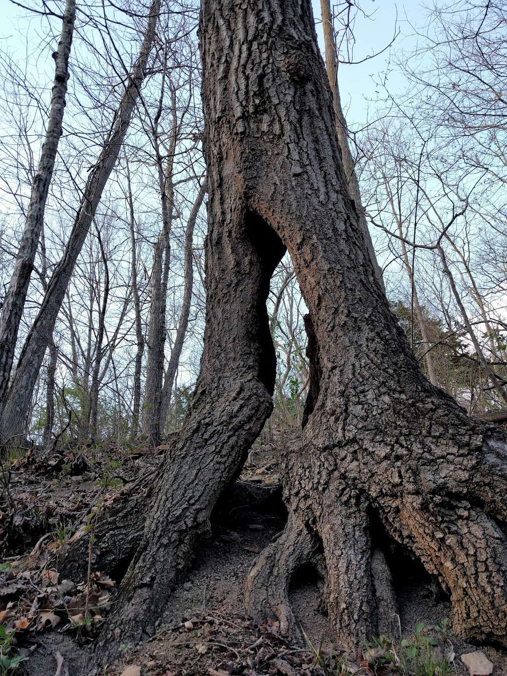 Larry Mattonen Memorial Trail | Cyclone Rd, Lees Summit, MO 64086, USA