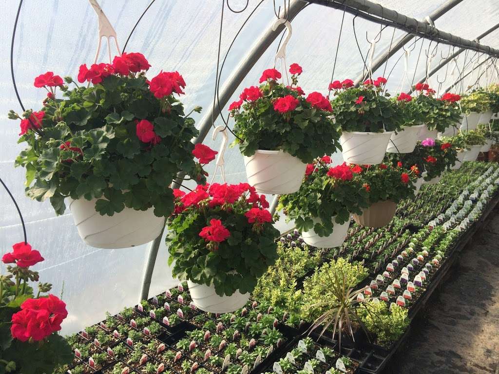 Pleasant Hill Garden Center | 8455, 2751 Baltimore Pike, Hanover, PA 17331, USA | Phone: (717) 633-7002