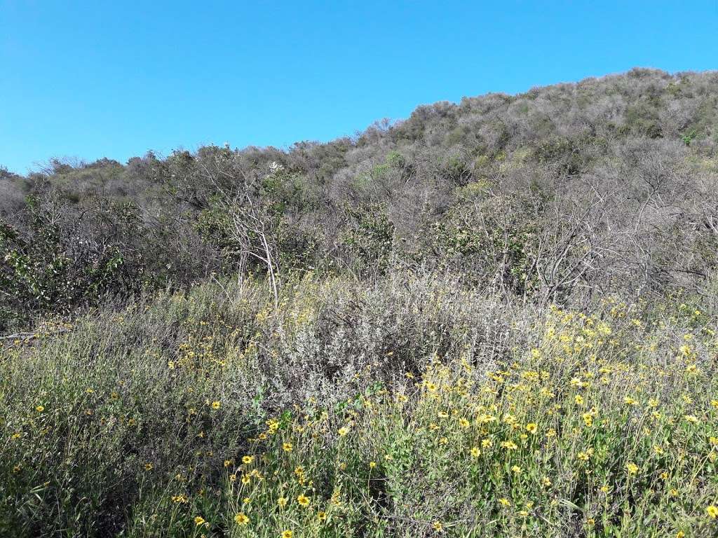 Hope Nature Preserve | Thousand Oaks, CA 91320 | Phone: (805) 381-2741