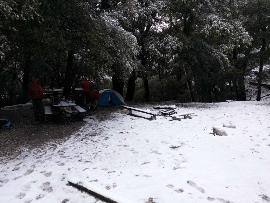 Mount Lowe Campground | California