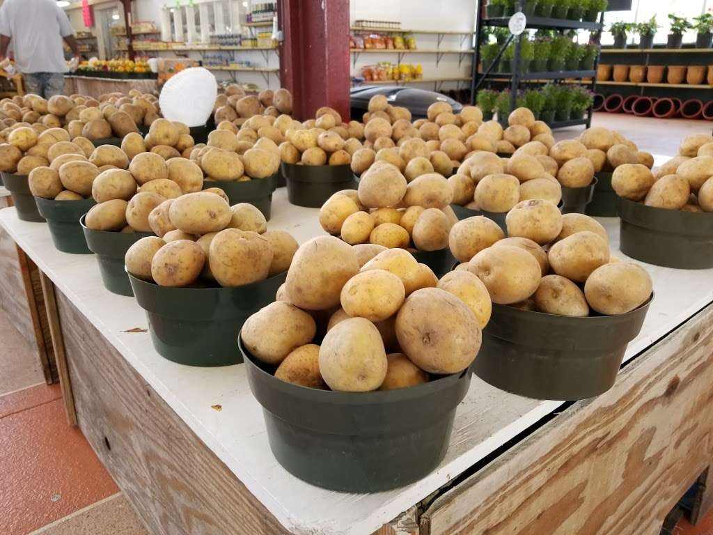 Rorabecks Plants & Produce Inc | 5539 S Military Trail, Lake Worth, FL 33463 | Phone: (561) 642-3382