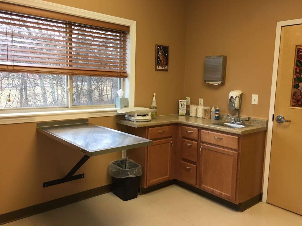 Animal Cancer Care Specialists | 3 Cobbetts Pond Rd, Windham, NH 03087, USA | Phone: (978) 577-4848