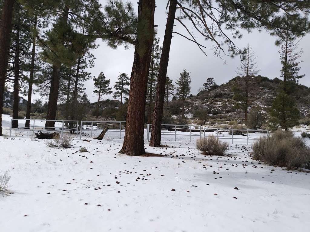 Big Pine Equestrian Group Campground | Big Pine Flat Rd, Lucerne Valley, CA 92356, USA | Phone: (877) 444-6777