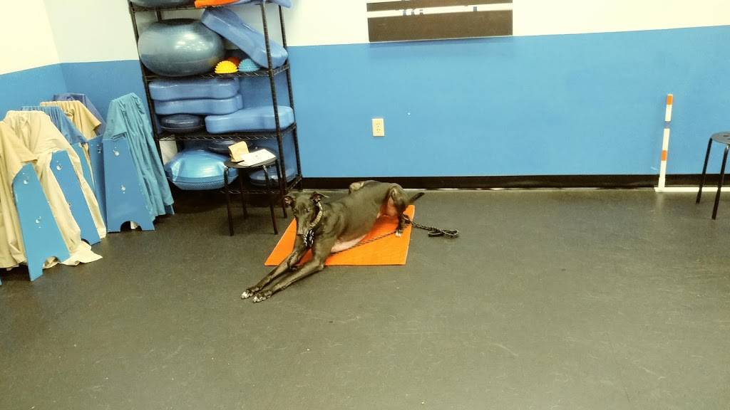 Zoom Room Dog Training | 1925 Landstown Centre Way #200, Virginia Beach, VA 23456, USA | Phone: (757) 932-5382