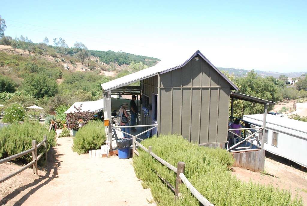 Keys Creek Lavender Farm | 12460 Keys Creek Rd, Valley Center, CA 92082, USA | Phone: (760) 742-3844