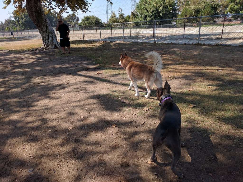 Home Run Dog Park | 20357 Studebaker Rd, Lakewood, CA 90713, USA | Phone: (562) 925-6912