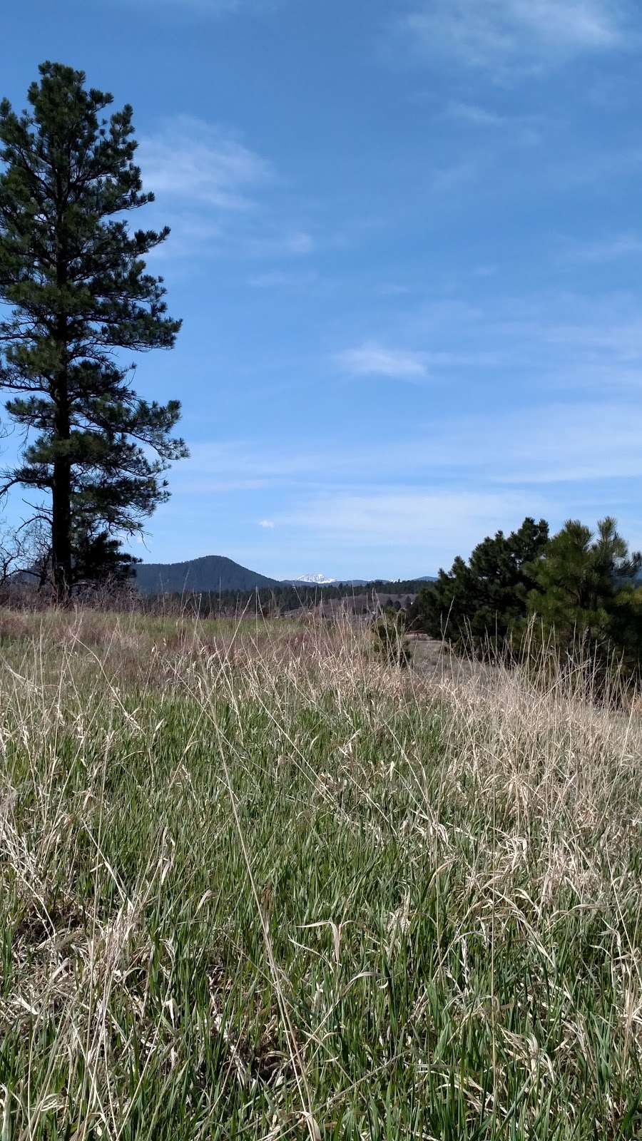 Columbine Open Space and Trail | 2 Faraway Pl, Castle Rock, CO 80104, USA | Phone: (303) 660-7495