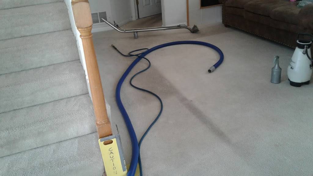 Quality Carpet and Upholstery Cleaners | 961 Cuchara St, Denver, CO 80221 | Phone: (720) 480-3091