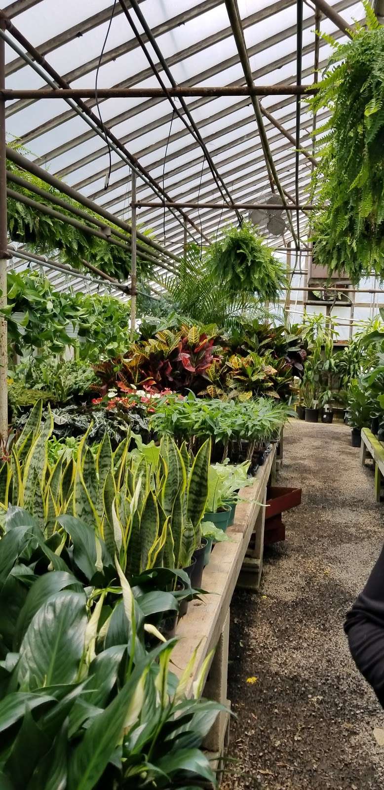 Oakdale Greenhouses, LLC | 5626 Statesville Rd, Charlotte, NC 28269, USA | Phone: (704) 596-4052