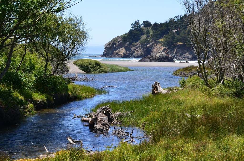 Muir Woods National Monument | 1 Muir Woods Rd, Mill Valley, CA 94941, USA | Phone: (415) 561-2850