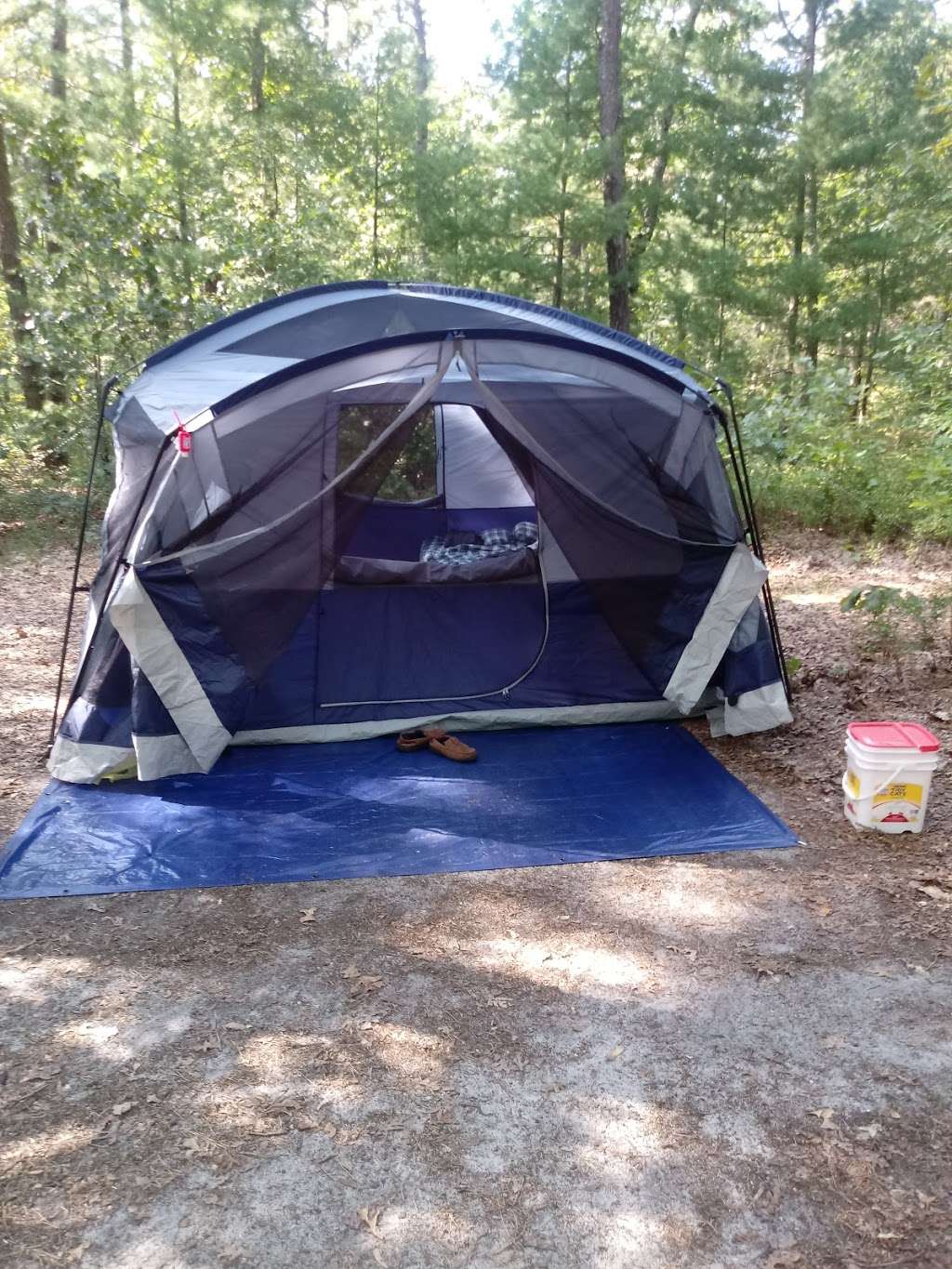Goshen Pond Camping Area | Wharton State Forest, Shamong, NJ 08088, USA | Phone: (609) 268-0444