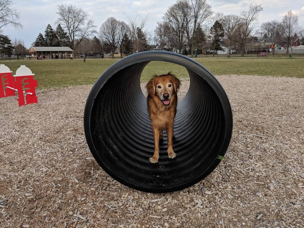 Glass City Dog Park (Membership Required) | 1171 Woodsdale Ave, Toledo, OH 43614, USA | Phone: (567) 307-0703