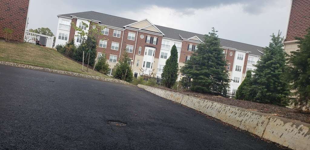 New street in Meadow Branch Apartment Complex | 201 Farley Circle, Winchester, VA 22601