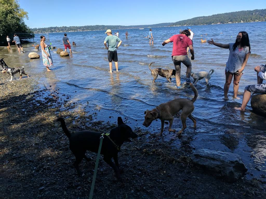 Warren G. Magnuson Park Off Leash Area | 7400 Sand Point Way NE, Seattle, WA 98115, USA | Phone: (206) 684-4075