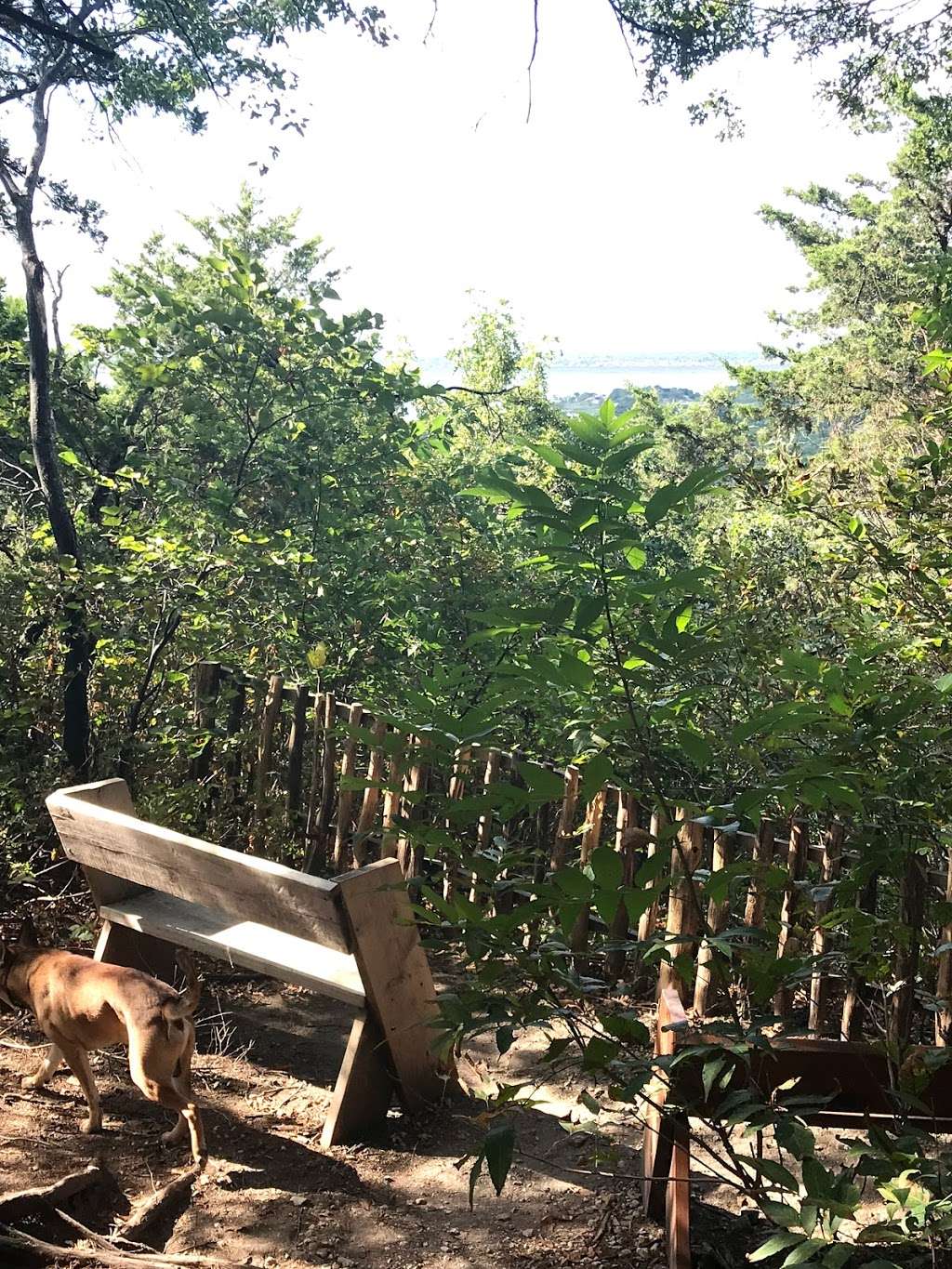 Cedar Mountain Trail | W Farm to Market Rd 1382, Cedar Hill, TX 75104, USA