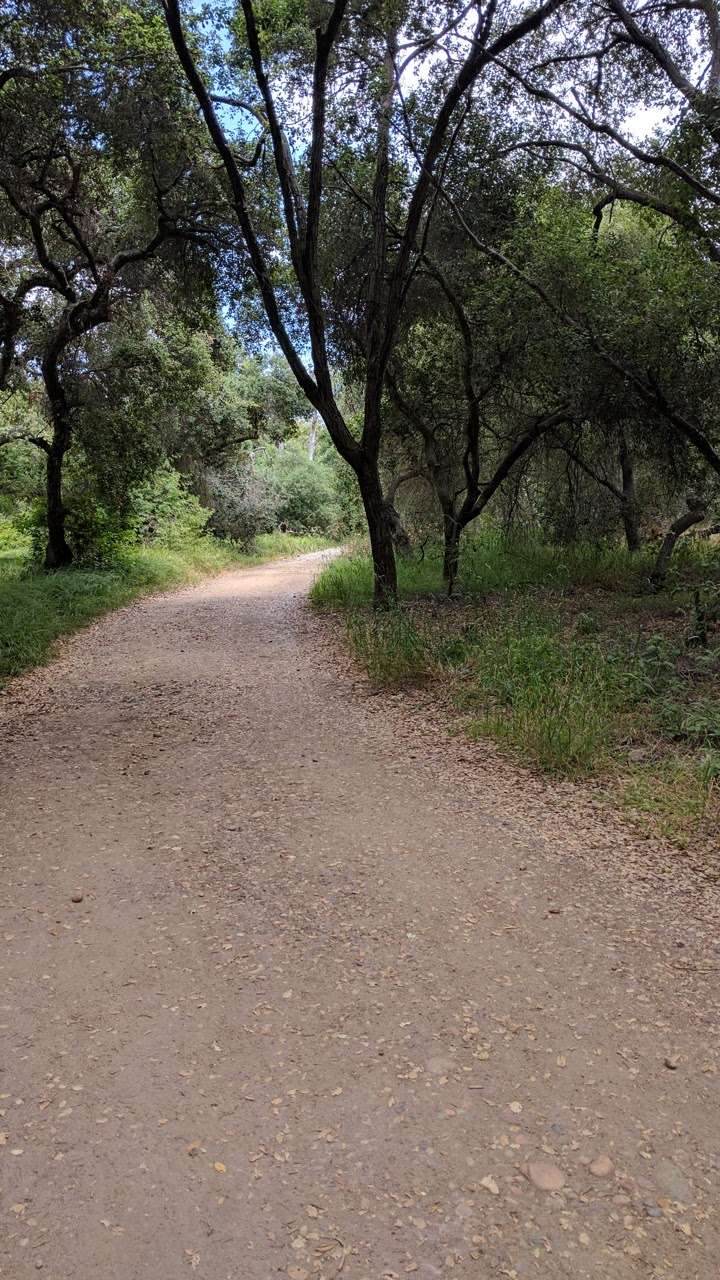 Peñasquitos Creek Park | Camino Del Sur & Park Village Rd, San Diego, CA 92129, USA | Phone: (619) 525-8213